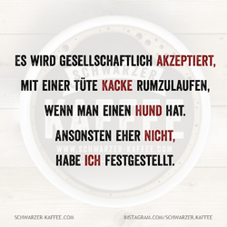 Quotes-Creator-com.ist_.quotescreator-1745410520749.png