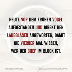 Quotes-Creator-com.ist_.quotescreator-1745591496539.png