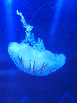 IMG_20250424_142750247.jpg