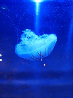 IMG_20250424_142808466.jpg