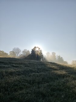 IMG_20250426_071330.jpg