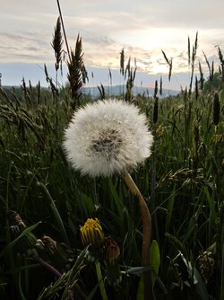 MVIMG_20250425_200835.jpg