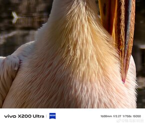 0081Tui3ly1i0qjvsbz9sj335c2pkhdv.jpg