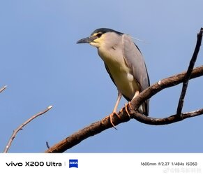 0081Tui3ly1i0qjvtolf0j335c2pku0x.jpg