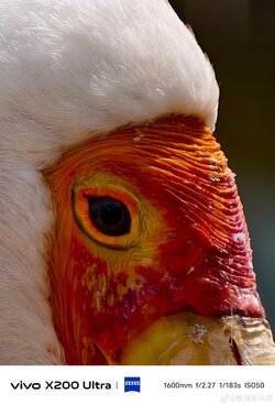0081Tui3ly1i0qjw2r8m3j32dc3hk7wj.jpg