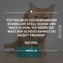post2(50).jpg
