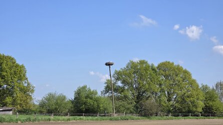 20250426_122818.jpg