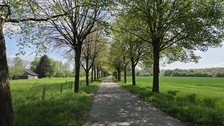 20250426_125101.jpg