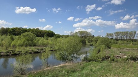 20250426_131515.jpg