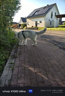 IMG_20250426_185609.jpg