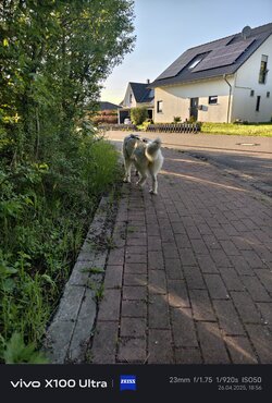 IMG_20250426_185611.jpg