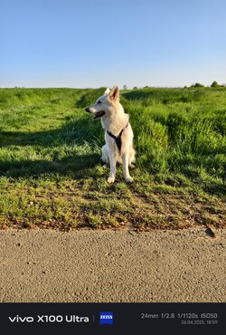 IMG_20250426_185944.jpg