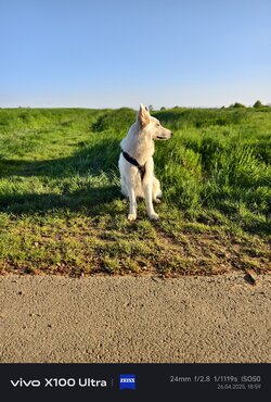 IMG_20250426_185946.jpg