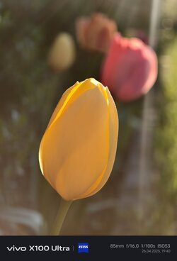 IMG_20250426_194048.jpg
