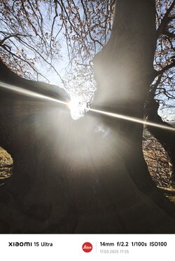 IMG_20250317_172551.jpg