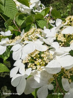 IMG_20250426_160153.jpg