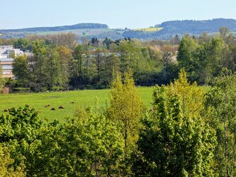 PXL_20250427_072333516~2.jpg