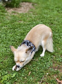 IMG_20250424_164448.jpg