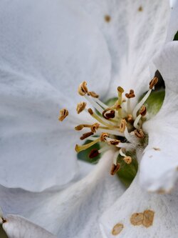 IMG_20250423_171235.jpg