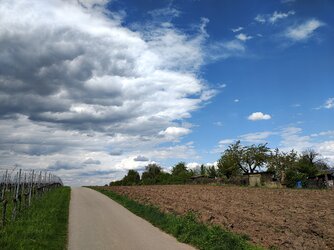 IMG_20250423_150925093_HDR.jpg