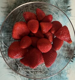 IMG_9948.jpeg