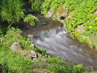IMG_20250427_111334.jpg