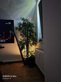 IMG_20250427_134112.jpg