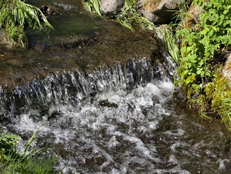 IMG_20250427_111111_1.jpg