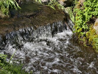 IMG_20250427_111110.jpg