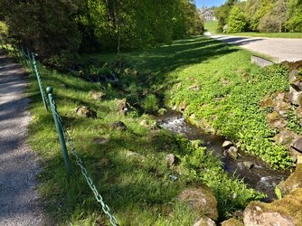 IMG_20250427_111102.jpg