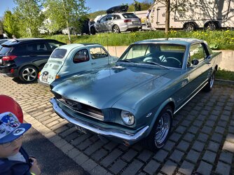 IMG_20250427_103607.jpg
