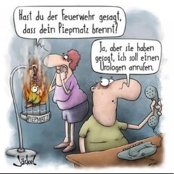 piepmatz-brennt.jpg