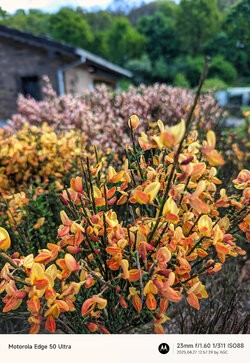 Gcam20250427_125739098.jpg