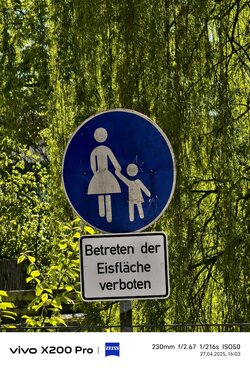 29_Vivo_Strukturiert_10x.jpg