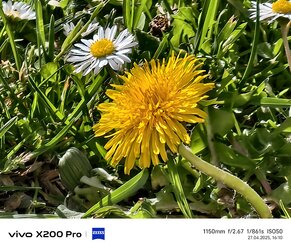 30_Vivo_Naturfarben_50x.jpg