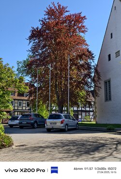 33_Vivo_Naturfarben_2x.jpg