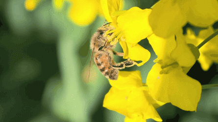 GIF_20250427_211324_363.gif