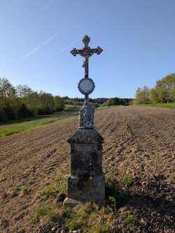 PXL_20250427_160251341.jpg