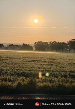 IMG_20250428_064618.jpg