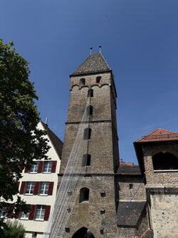IMG_9973.jpeg