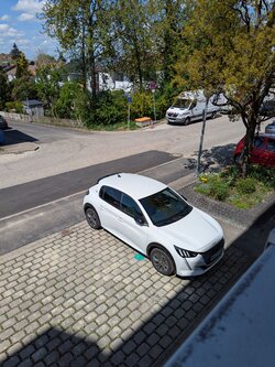 PXL_20250428_112118344.jpg