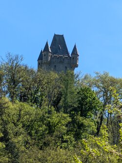PXL_20250426_120319048.jpg