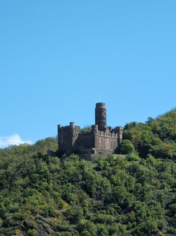 IMG_20250426_114414.jpg