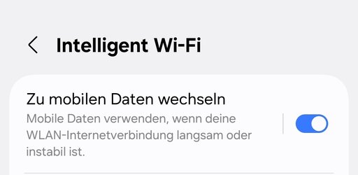 Screenshot_20250428_194541_Settings.jpg