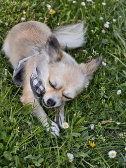 IMG_20250428_171543.jpg