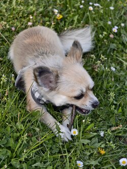 IMG_20250428_171541.jpg