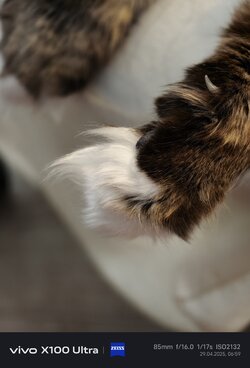 IMG_20250429_065950.jpg