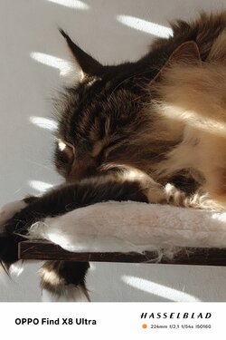 IMG20250429075011.jpg