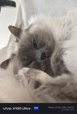 IMG_20250429_082250.jpg