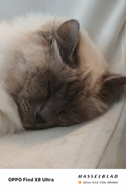 IMG20250429074338.jpg